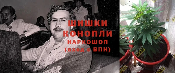 скорость Шадринск