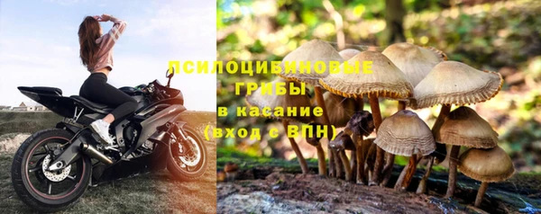 скорость Шадринск