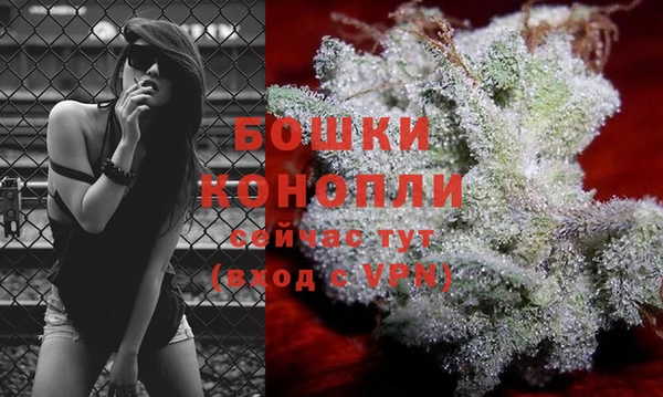 гидропоника Шали