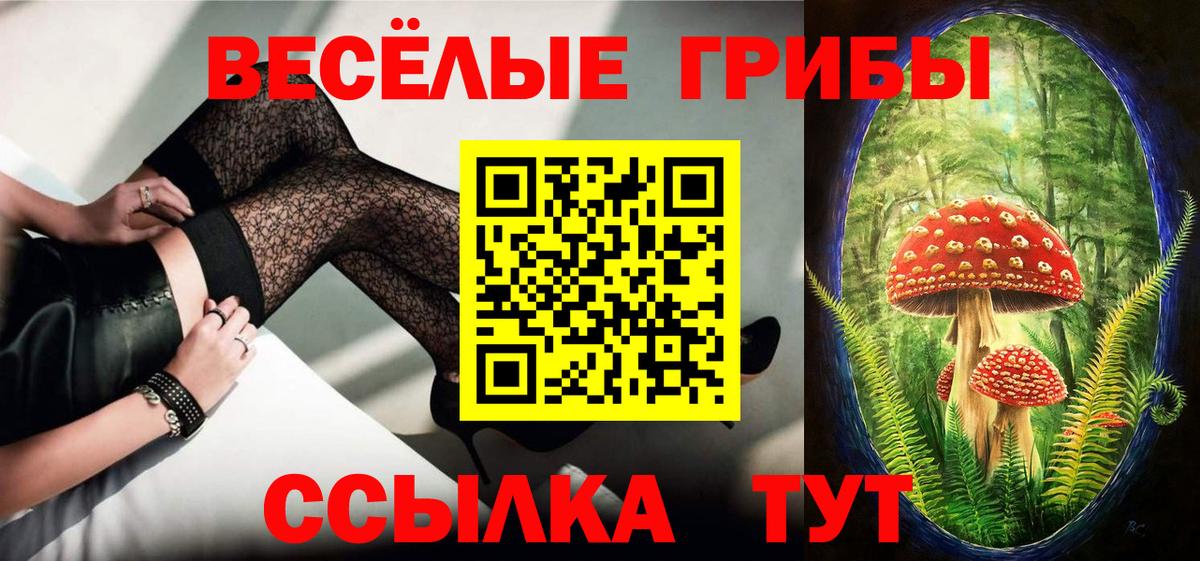Галлюциногенные грибы GOLDEN TEACHER  Донской  Галлюциногенные грибы GOLDEN TEACHER 