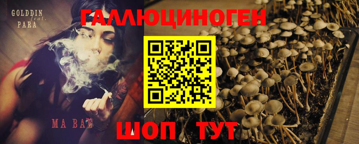 Донской  Псилоцибиновые грибы Psilocybe  что такое наркотик  Вход с VPN 
