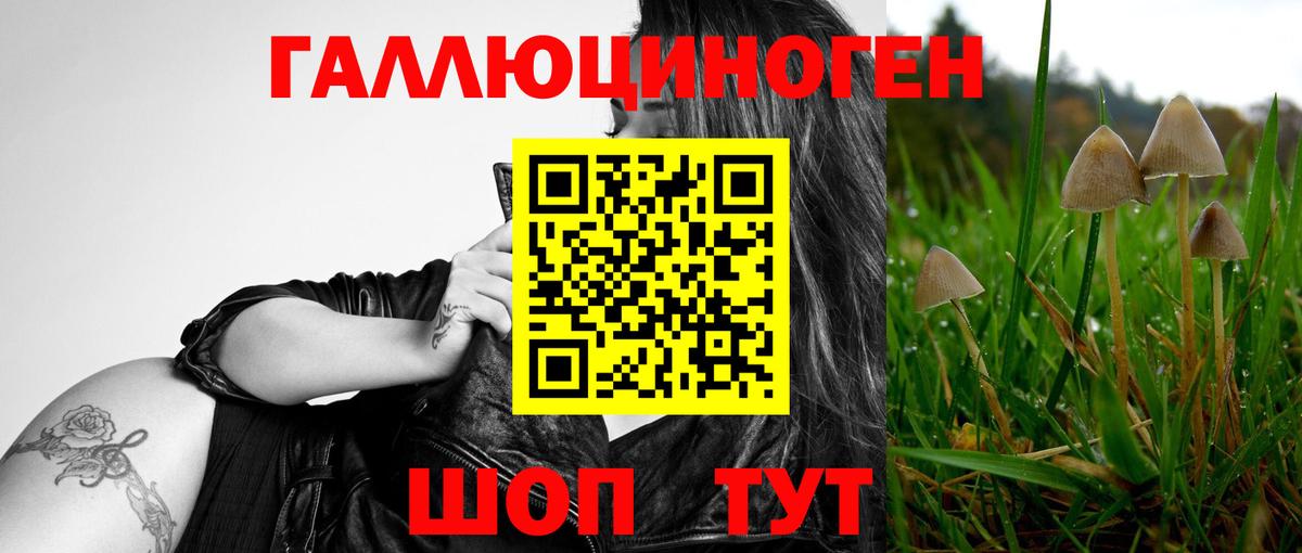 Галлюциногенные грибы MAGIC MUSHROOMS Донской