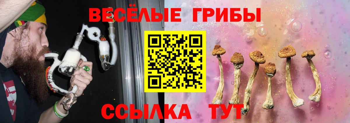 Псилоцибиновые грибы прущие грибы Донской