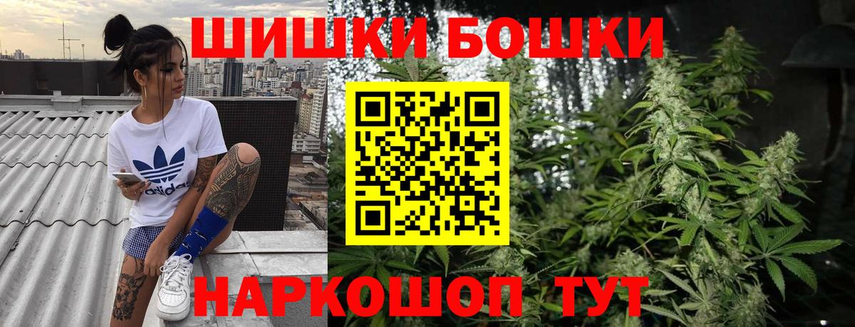 Бошки Шишки планчик Донской